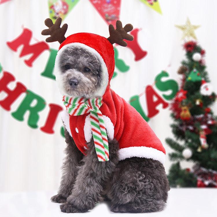 Christmas Tree Cute Pet Clothes - Pets Villa