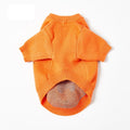 Cute Orange Halloween Pet Sweater. Suitable for Dogs and Cats. Orange in colour.