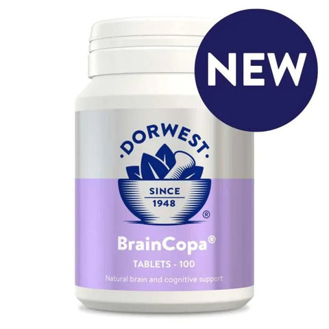 DORWEST BrainCopa® Tablets For Dogs & Cats - Pets Villa