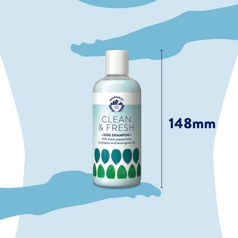 DORWEST Clean & Fresh Shampoo - 250ml - Pets Villa