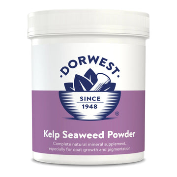 DORWEST Kelp Seaweed Powder For Dogs And Cats - Pets Villa