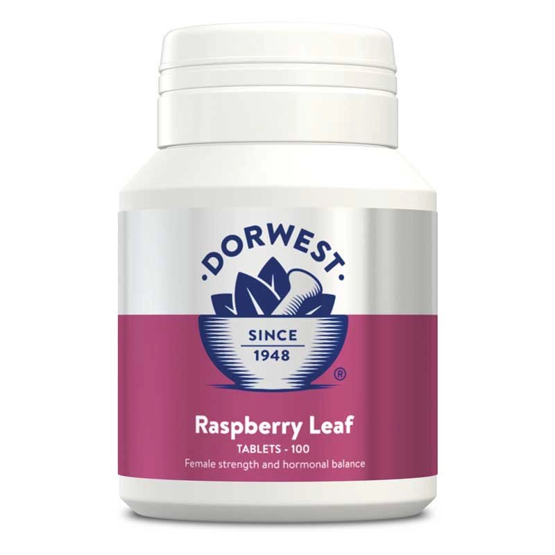 DORWEST Raspberry Leaf Tablets For Dogs And Cats - 100 Tablets - Pets Villa