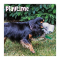 Eco-Friendly Canvas Dog Toy – Rope Pull, 28cm, Recycled Stuffing