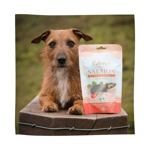 EDEN Salmon, Apple and Spinach Sausages 10pcs - Pets Villa