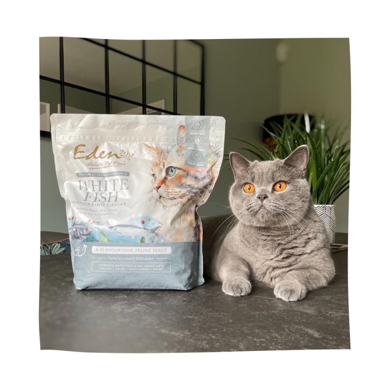 EDEN White Fish with Herring Caviar for Cats 1.5kg Pets Villa