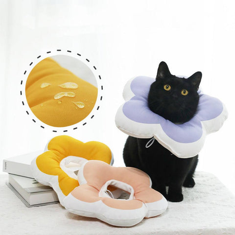 Flower Elizabethan Collar - Pets Villa