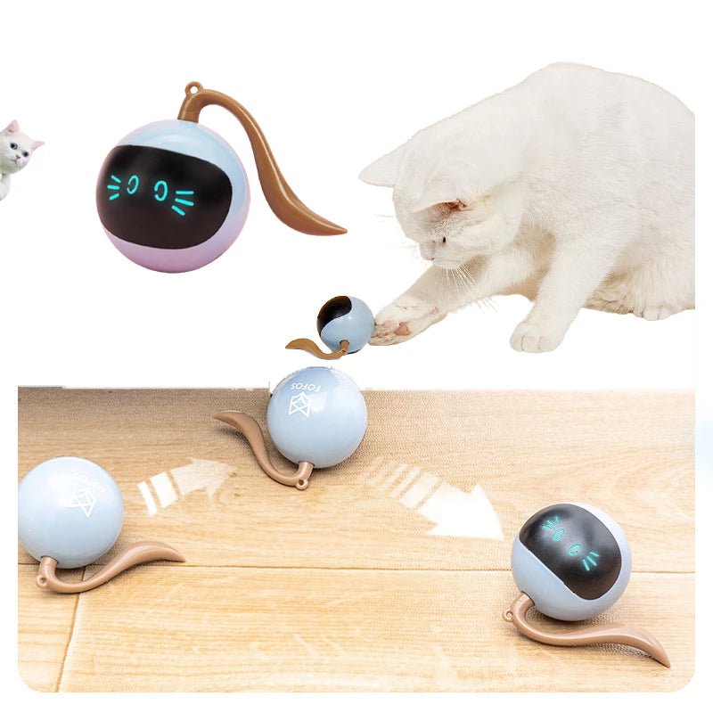 Cat magic ball hotsell