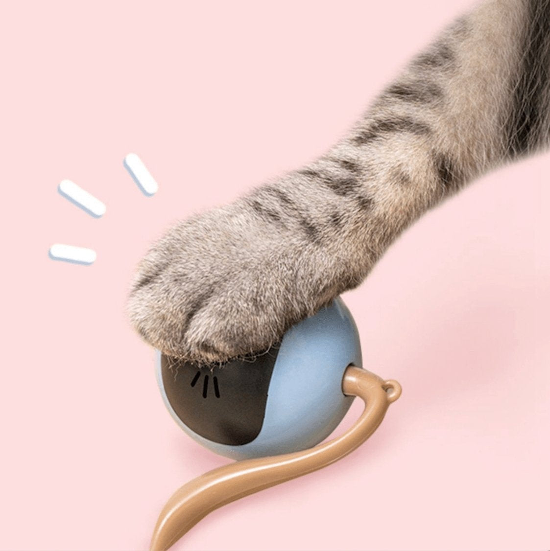 Magic ball deals for cats