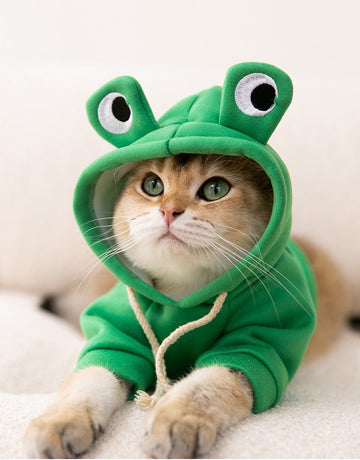 Frog Pet Outfit - Pets Villa