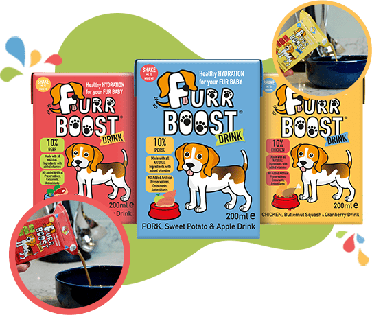FURR BOOST Healthy Hydration For Your Fur Baby For Dogs - Pets Villa