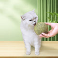 Giant Catnip Ball 10cm - Pets Villa