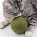 Giant Catnip Ball 10cm - Pets Villa