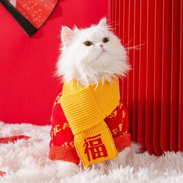 'GongXiFaCai' Festival Sweater - Pets Villa