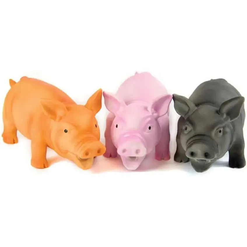 Doggy Dolittles Piggy