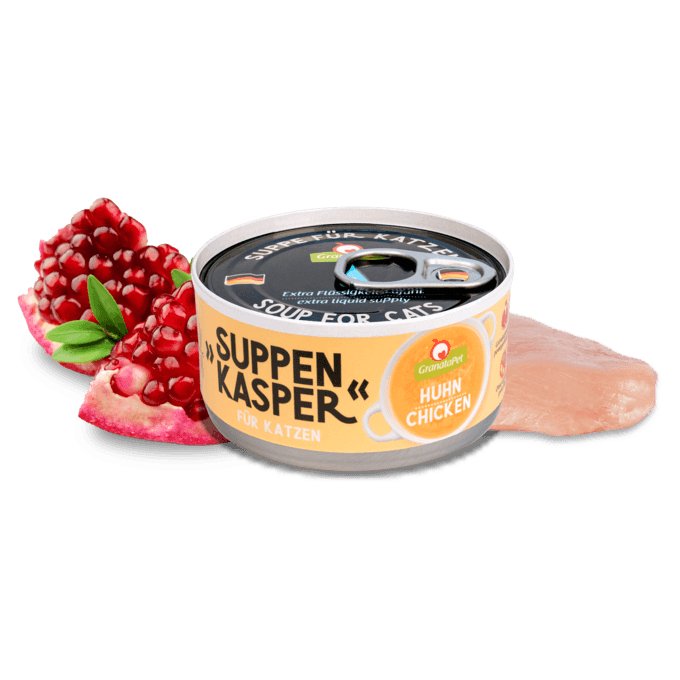 Cat Suppenkasper Chicken