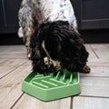 GREAT&SMALL Sage Green Slow Down Hexagon Pet Bowl - Pets Villa