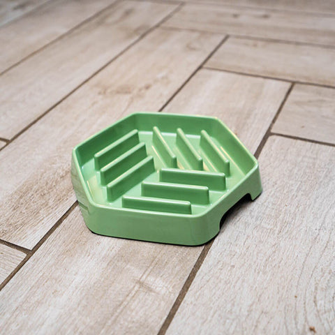 GREAT&SMALL Sage Green Slow Down Hexagon Pet Bowl - Pets Villa