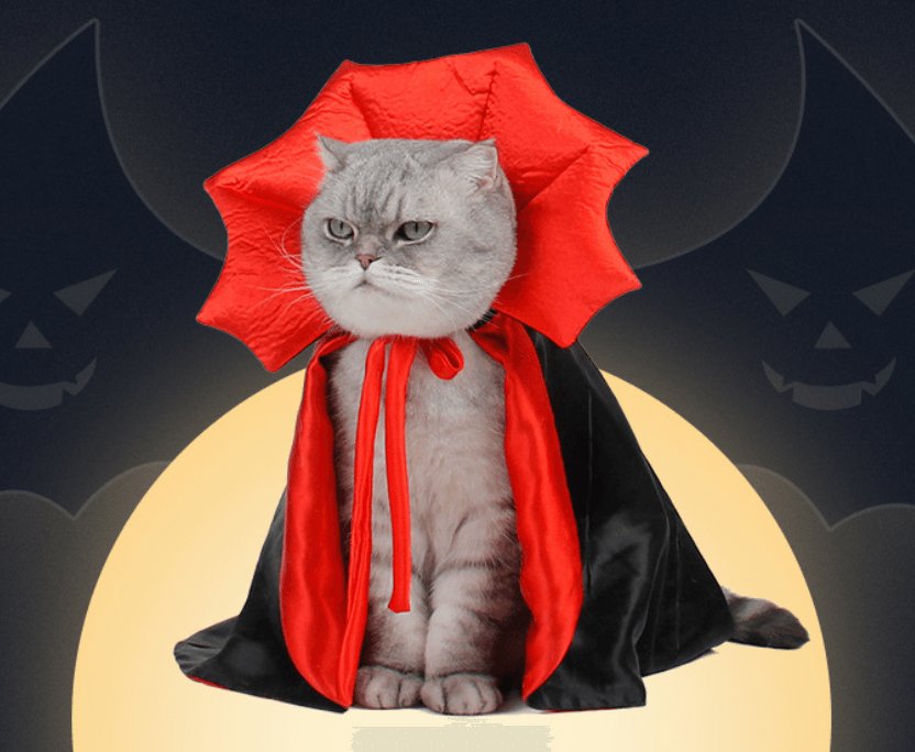 Halloween Dracula Pet Cape - Pets Villa