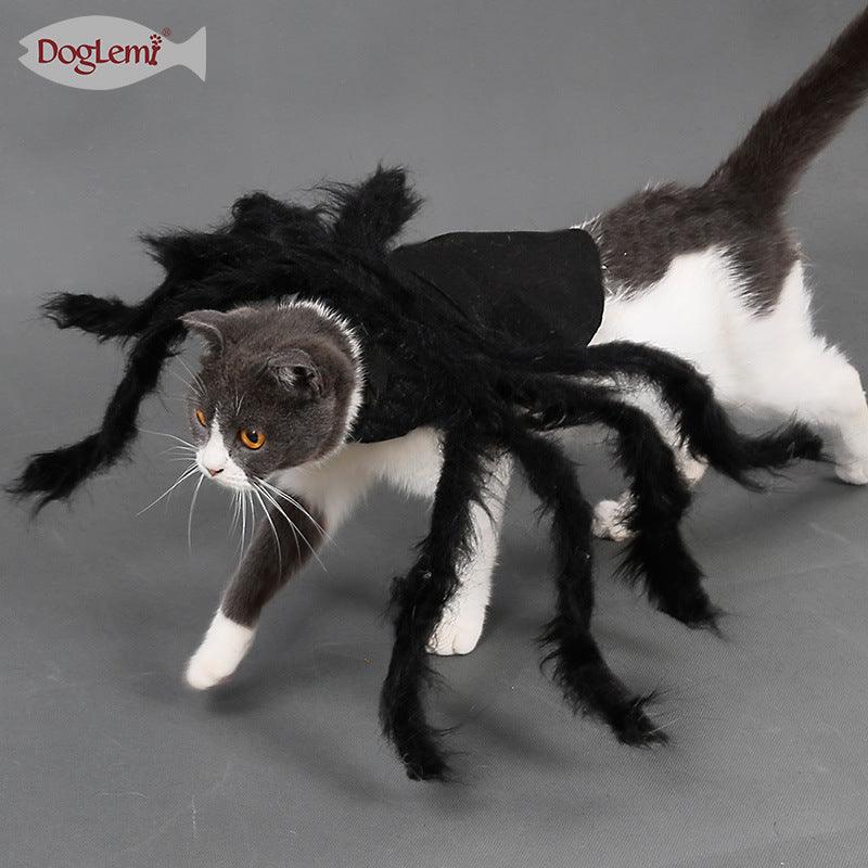 Labrador spider costume best sale