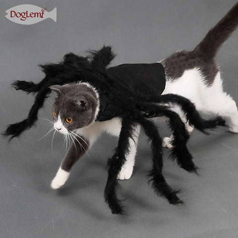 Halloween Spider Pet Costume - Pets Villa