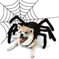 Halloween Spider Pet Costume - Pets Villa