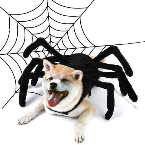 Halloween Spider Pet Costume - Pets Villa