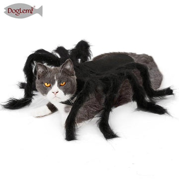 Halloween Spider Pet Costume - Pets Villa