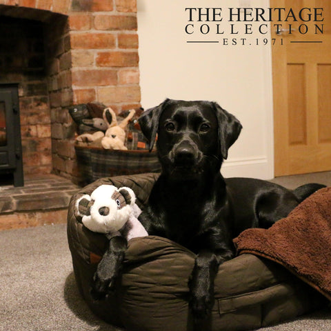 Heritage ANCOL Firm and Cuddly Dog Toys – Soft, Textured & Eco-Friendly Comfort