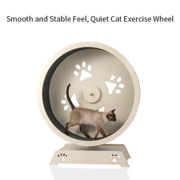 HONEYPOT CAT Treadmill