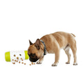 Dog rolling treat toy – ALL FOR PAWS Treat Frenzy Roll with adjustable holes for slow or fast treat release