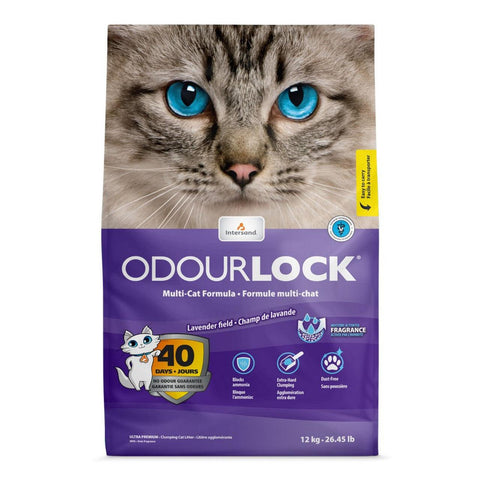 INTERSAND Odourlock Litter Lavender - Pets Villa