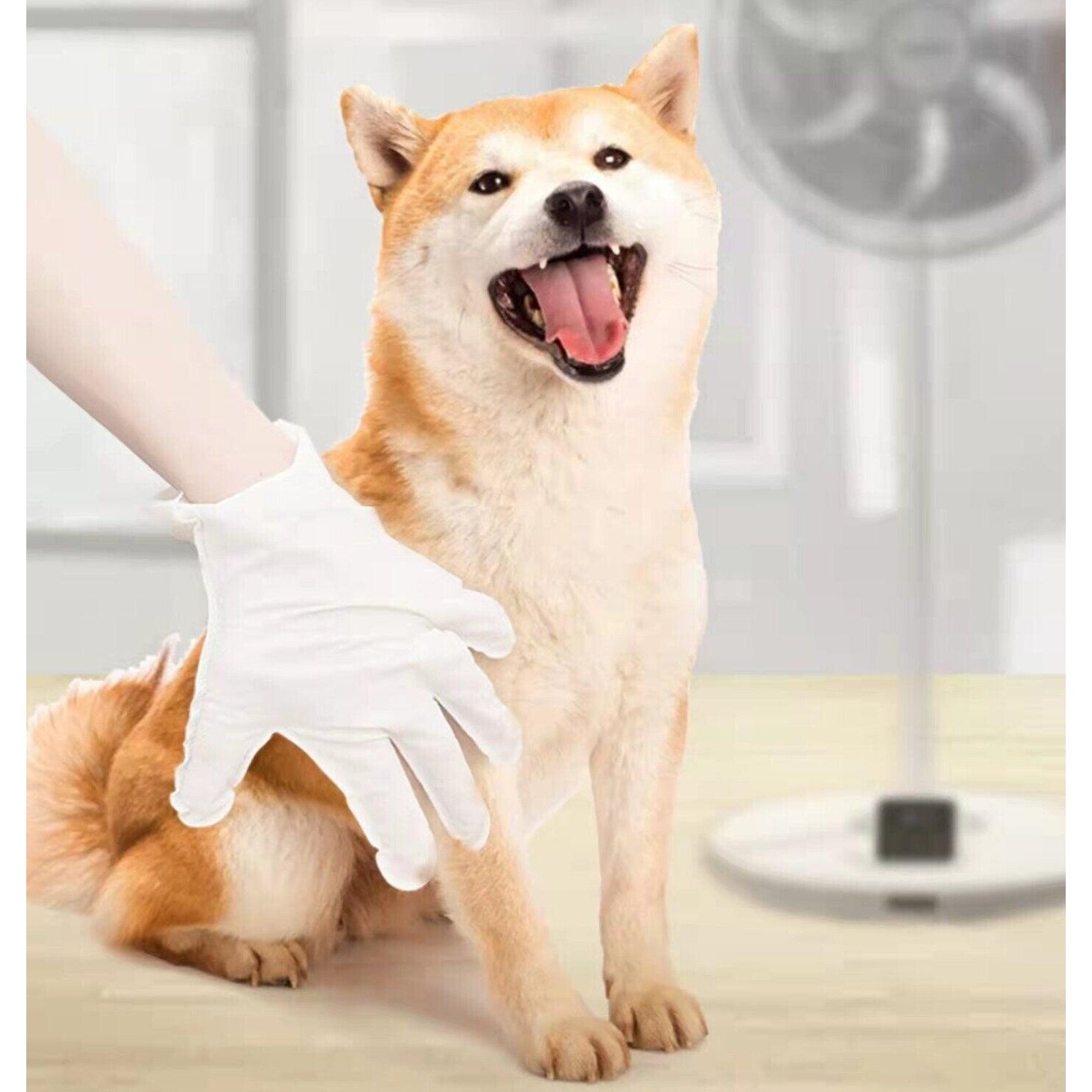 Dog hotsell petting gloves