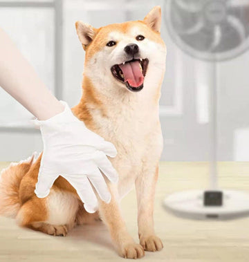KOJIMA Pet Cleaning Gloves Bath Gloves For Cat & Dog (6pcs) - Pets Villa
