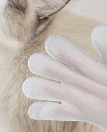 KOJIMA Premium Anti-Bacterial Pet Gloves 8pcs - Pets Villa