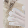 KOJIMA Premium Anti-Bacterial Pet Gloves 8pcs - Pets Villa