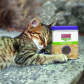 KONG Cat Premium Catnip - Pets Villa