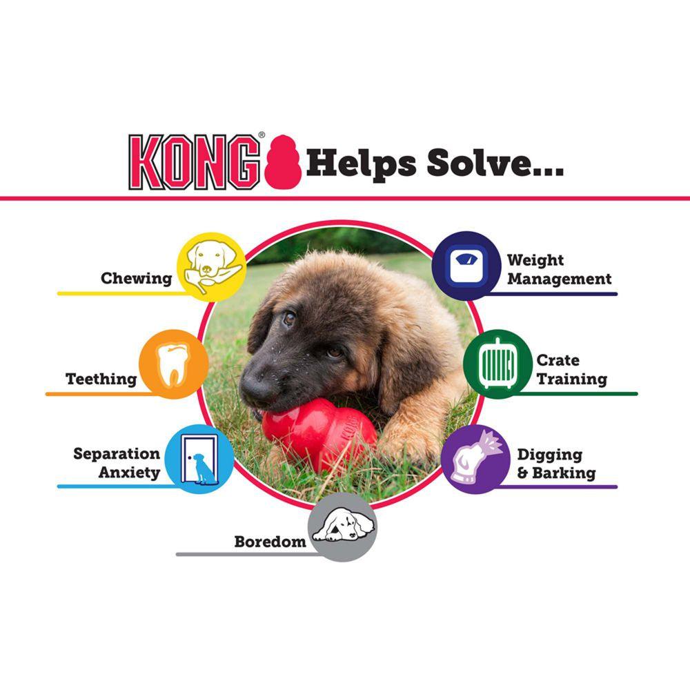 KONG Puppy - Pets Villa