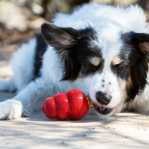 KONG Snacks™ Liver - Pets Villa