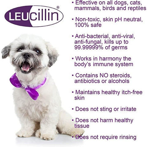 LEUCILLIN Antibacterial Spray - Pets Villa