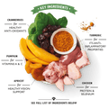 LILY'S KITCHEN Coronation Chicken - Pets Villa