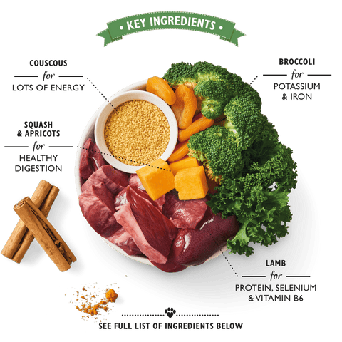 LILY'S KITCHEN Lamb Tagine (150g) - Pets Villa