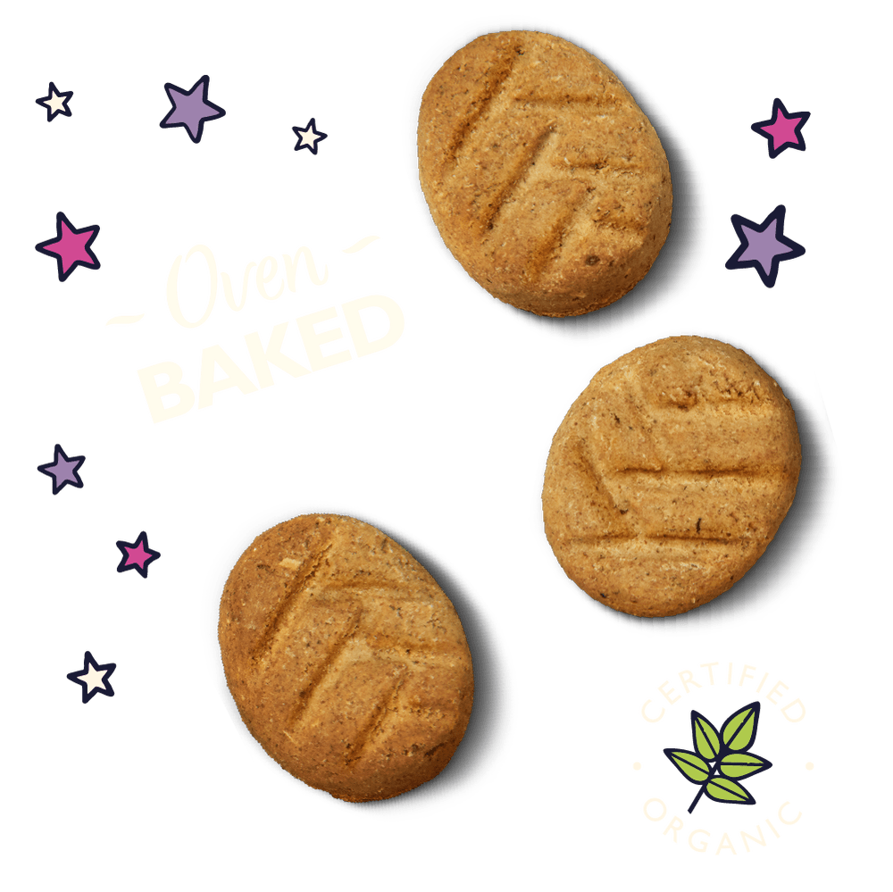 LILY S KITCHEN Organic Bedtime Biscuits