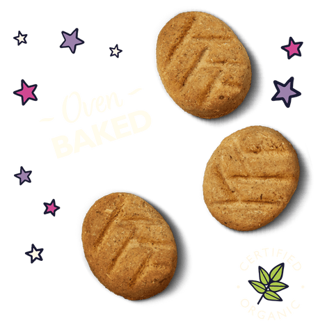 LILY'S KITCHEN Organic Bedtime Biscuits - Pets Villa