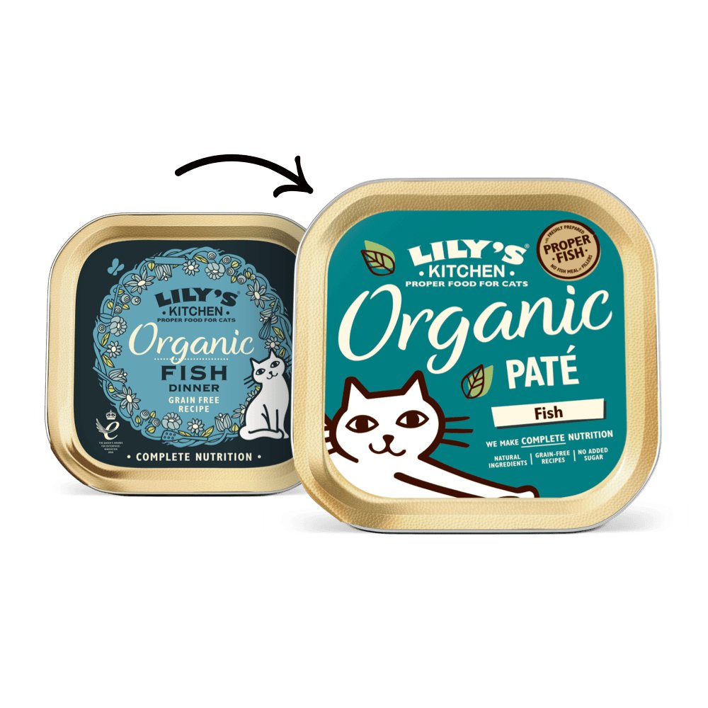 LILY'S KITCHEN Organic Fish Pate for Cats - Pets Villa