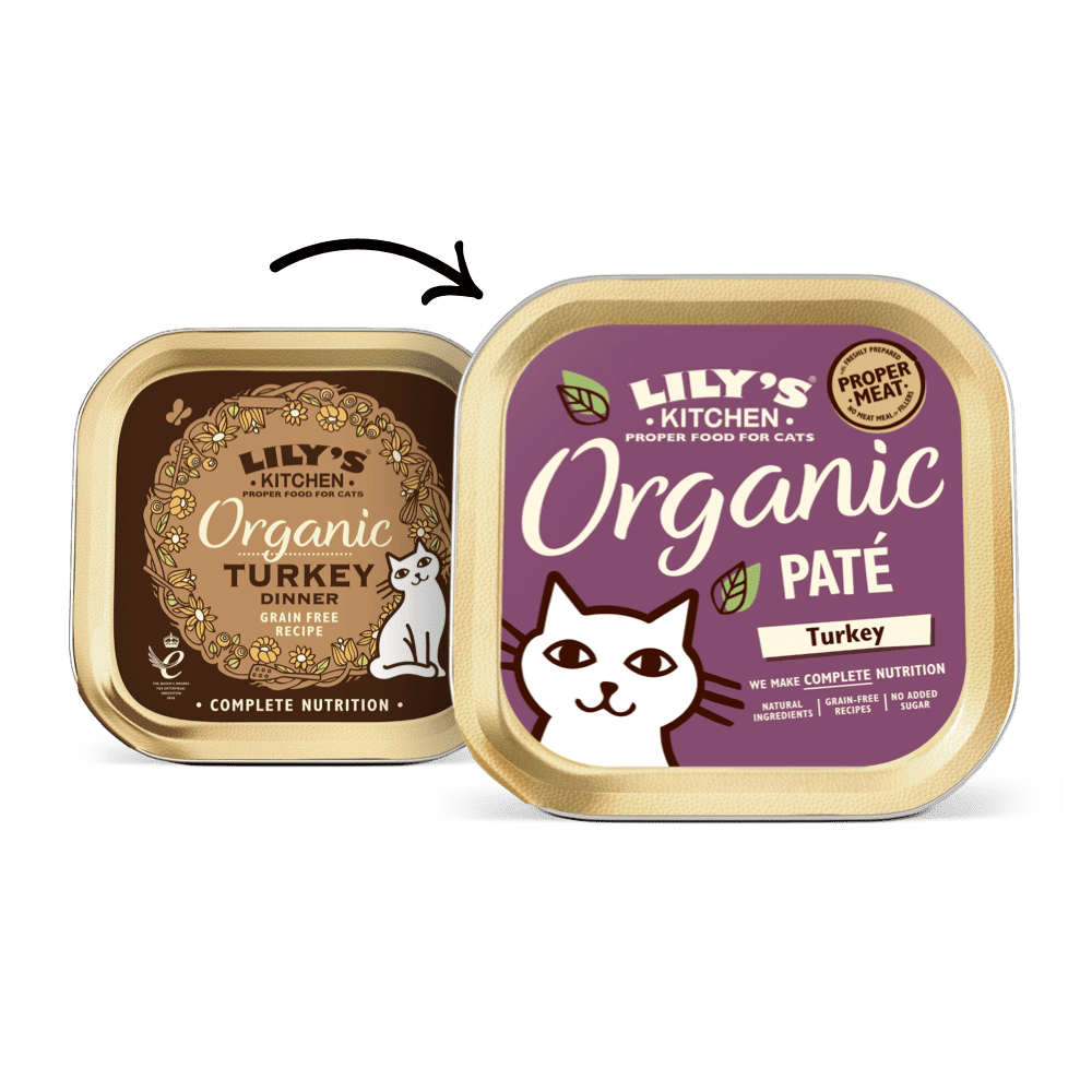 LILY'S KITCHEN Organic Turkey Paté for Cats - Pets Villa