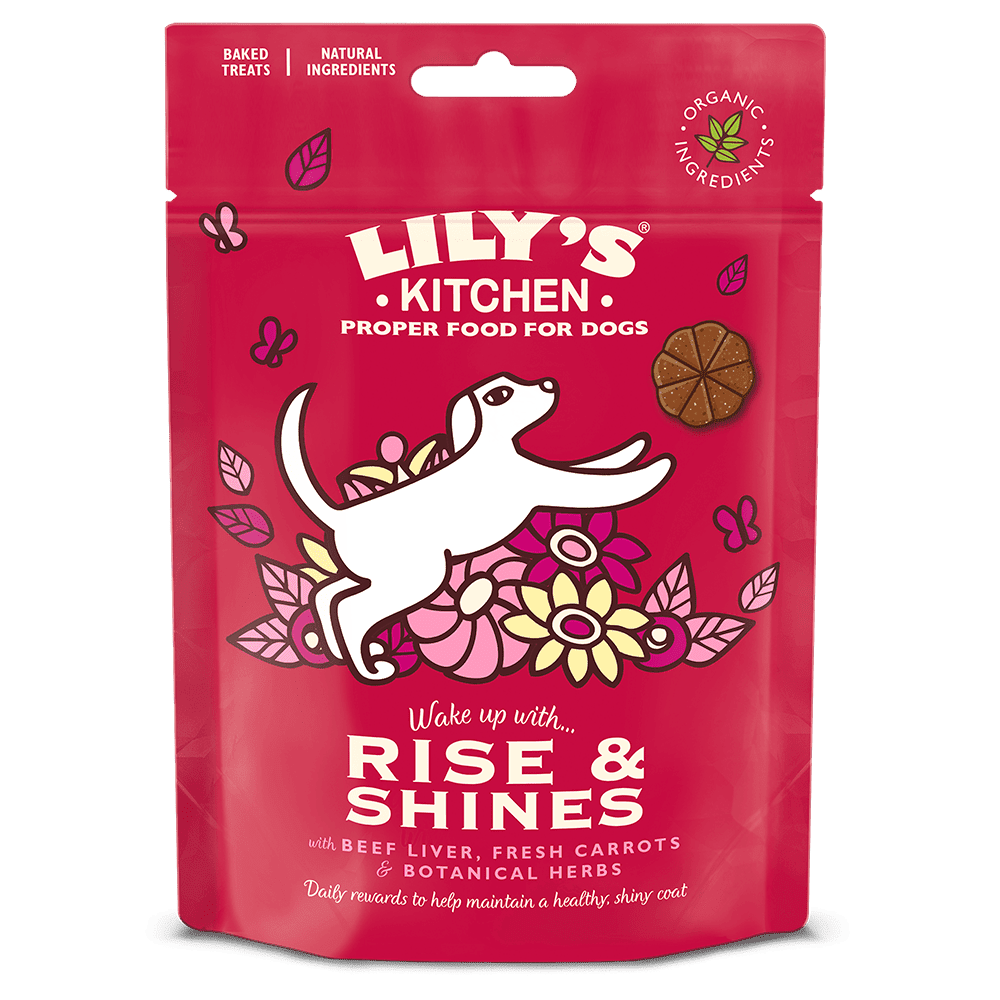 LILY'S KITCHEN Rise and Shines (80g) - Pets Villa