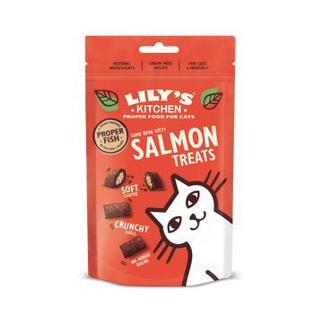 LILY'S KITCHEN Salmon Treats for Cats