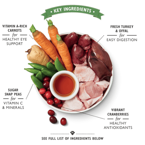 LILY'S KITCHEN Senior Recipe (150g) - Pets Villa