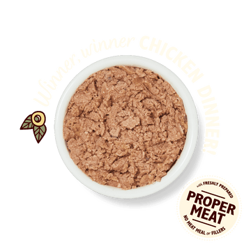 LILY'S KITCHEN Smooth Chicken Paté for Cats