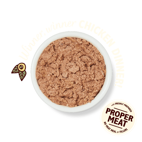 LILY'S KITCHEN Smooth Chicken Paté for Cats - Pets Villa